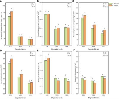 Soil degradation regulates the effects of litter decomposition on soil microbial nutrient limitation: Evidence from soil enzymatic activity and stoichiometry